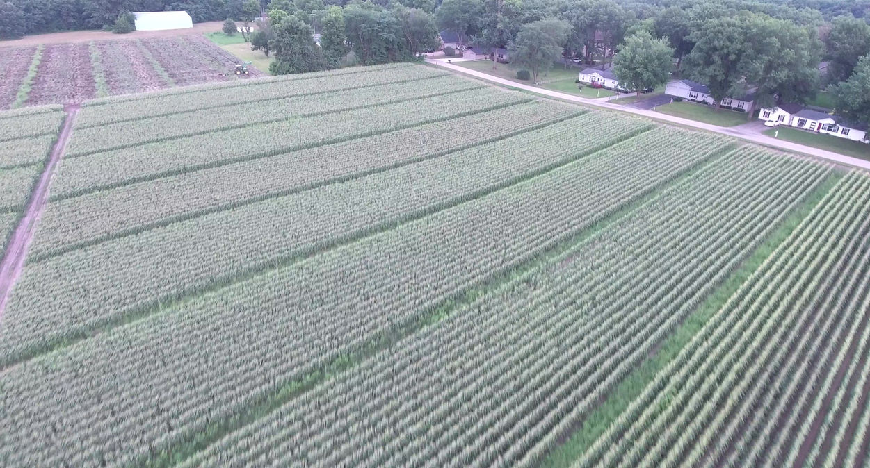 DJI_0428